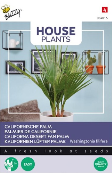 Washingtonia filifera (desert fan palm) 8 zaden
